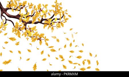L'automne jaune branche d'un chêne à glands. Battant feuilles. illustration Illustration de Vecteur