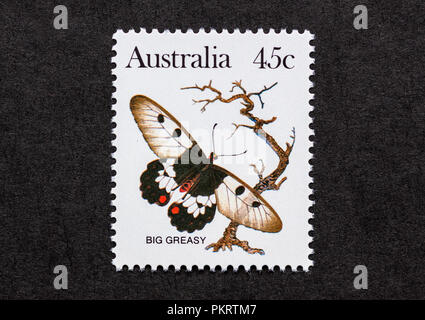 Poste représentant l'Australie à la menthe un grand mâle papillon gras (Cressida cressida) Banque D'Images