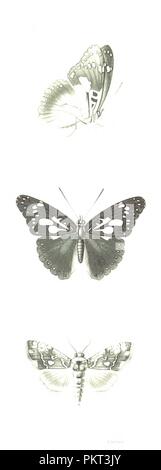 Libre à partir de la page 671 de "Voyage à Madagascar au couronnement de Radama II' . Banque D'Images