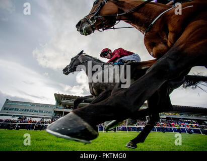 Dublin, dub, USA. 15 Sep, 2018. 15 septembre 2018 : lion rugissant, montée par Murphy, Oisin out Saxon Warrior duels, monté par Ryan Moore, bas de la ruelle pour gagner la QIPCO Champions Irlandais sur Enjeux Enjeux Champions irlandais journée à l'hippodrome de Leopardstown le 15 septembre 2018 à Dublin en Irlande. Scott Serio/ESW/CSM/Alamy Live News Banque D'Images