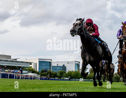 Dublin, dub, USA. 15 Sep, 2018. 15 septembre 2018 : lion rugissant, montée par Murphy, Oisin out Saxon Warrior duels, monté par Ryan Moore, bas de la ruelle pour gagner la QIPCO Champions Irlandais sur Enjeux Enjeux Champions irlandais journée à l'hippodrome de Leopardstown le 15 septembre 2018 à Dublin en Irlande. Scott Serio/ESW/CSM/Alamy Live News Banque D'Images