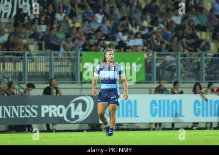 Parme, Italie. 15 Septembre, 2018. Cardiff Blues' N8 Josh Navidi lors du match contre le Zèbre dans GuinnessPro14 2018/2019©Massimiliano Carnabuci/Alamy live news Banque D'Images