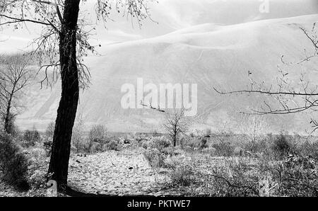 Ski alpin hommes sur Great Sand Dunes Banque D'Images