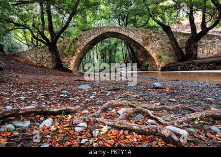 Tzelefos - Pont de l'un des ponts de Venise cachée à Paphos, Chypre Forêt Banque D'Images