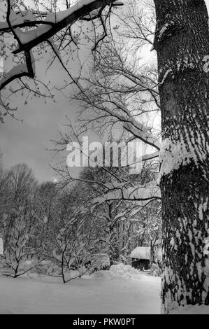 Chutes de neige record dans les montagnes de la Virginie a généré plus de 40 pouces de neige. Ici Pine Grove un petit village près de Bluemont était de creuser dehors et t Banque D'Images