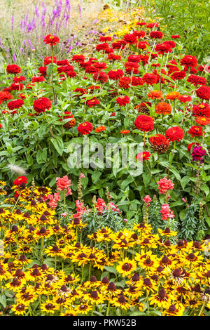 Une combinaison de couleurs d'une fleur d'été lit dans un chalet jardin Rudbeckia hirta, Sonora, Zinnias rouges Banque D'Images