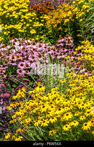 Une combinaison colorée d'un jardin d'été fleurs fleuries dans un jardin de chalet, Echinacea, Rudbeckia, Sneezeweeds fleurs jaunes dans une frontière de juillet Banque D'Images