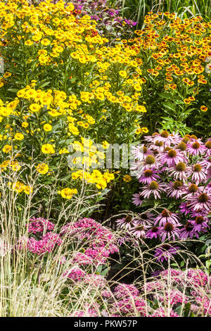 Un été haut en couleurs de fleurs de jardin dans un chalet jardin, échinacée, Rudbeckia, Sneezeweeds Banque D'Images