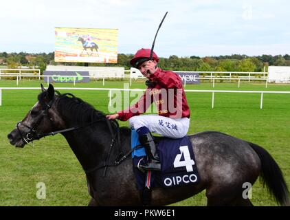 L'lion rugissant & Murphy Oisin (près de côté) gagner le groupe 1 Qipco Champion irlandais de pieux GUERRIER SAXON & Ryan Moore (à côté) au cours de la première journée de la Longines 2018 Champions irlandais Week-end à l'hippodrome de Leopardstown, Dublin. Banque D'Images