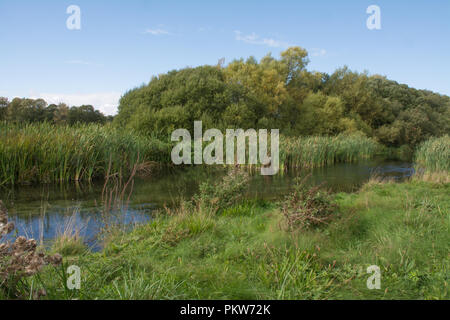 Le Test de la rivière passant à travers une campagne paisible à Stockbridge Marsh dans le Hampshire, au Royaume-Uni, au cours du mois de septembre Banque D'Images