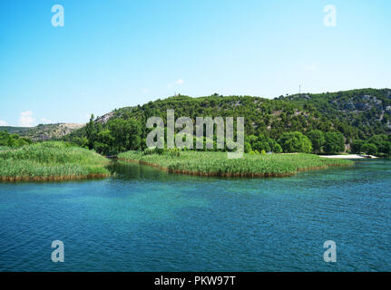 Dans la rivière Krka parc national en Croatie. Banque D'Images