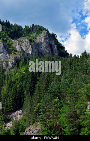 Vue panoramique sur une colline rocheuse abrupte couverte par la firs à Arieș dans la vallée de montagnes Apuseni, Transylvanie Banque D'Images