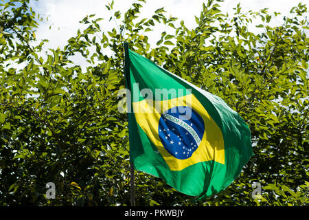 Drapeau du Brésil dans le vent. Banque D'Images