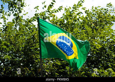 Drapeau du Brésil dans le vent. Banque D'Images