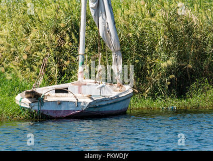 Bateau à voile felouque traditionnelle en décomposition poussé vers le haut contre l'île Grassy, Nil, Assouan, Egypte, Afrique du Sud Banque D'Images