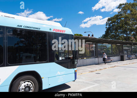 Un jeune garçon, s'étend sur un bus des transports publics à la nouvelle gare routière et échangeur à Gordon, Nouvelle Galles du Sud en Australie Banque D'Images