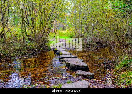 Pierres de gué à travers un ruisseau menant dans les bois dans le chat sauvage piste à Newtonmore dans les Highlands écossais Banque D'Images
