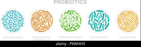 Ensemble de bactéries probiotiques. Bon concept micro-organismes isolé sur fond blanc. Propionibacterium, Lactobacillus, Lactococcus, Bifidobacterium, Streptococcus thermophilus, Escherichia coli Illustration de Vecteur