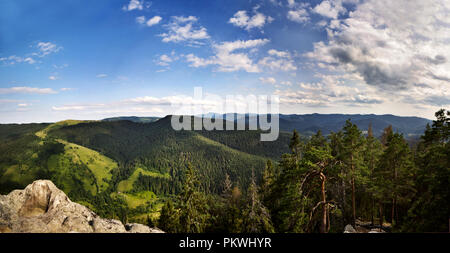 Forêt vert foncé et la vallée de montagnes de Karpaty, Ukraine Banque D'Images