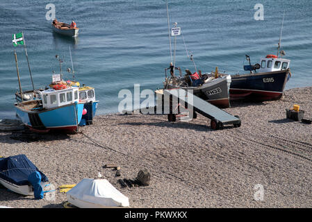 Bateaux de pêche du maquereau Beer Devon UK Banque D'Images