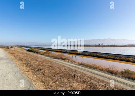 Alviso, afficher de Alviso Marina County Park à New Chicago Marsh ; California, USA Banque D'Images