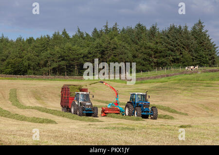 1993 Ford 8630 tracteur  + Reco Mengele SH40N  + ensileuse 1989 Ford 7810 Silver Jubilee karting l'herbe loin dans une remorque sur une ferme laitière Banque D'Images