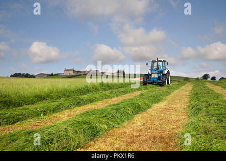 1988 Ford 7610 travail deux avec faucheuse conditionneuse Kuhn FC243 coupé de l'herbe pour l'ensilage dans une ferme laitière en Angleterre Banque D'Images