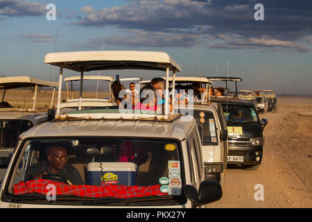 Parc national d'Amboseli, KENYA - février 22, 2018 : embouteillage à Amboseli - les touristes à regarder la famille des lions d'un safari en voiture. Banque D'Images