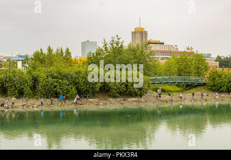 Les gens la pêche du saumon dans Ship Creek, Centre d'Anchorage, Alaska, USA. Banque D'Images