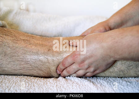 Vous pourrez vous détendre au centre de bien-être Massage professionnel. Massage sportif. Gros plan du physiothérapeute massage des jambes d'hommes à spa salon de coiffure. Massothérapeute. Banque D'Images