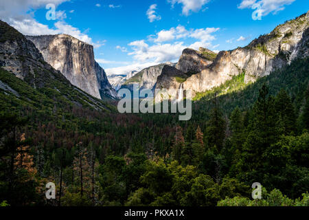 Vue de tunnel, Yosemite National Park, California, USA Banque D'Images