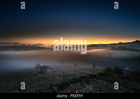 Dawn fantaisiste avec début de la rosée du matin sur les plantations de thé à Moc Chau, Province de Son la ferme, Vietnam Banque D'Images