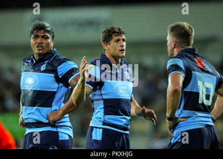 Parme, Italie. 15 Septembre, 2018. Blues' demi de mêlée Lloyd Williams parle à son coéquipier Gareth Anscombe lors du match contre le Zèbre dans GuinnessPro14 2018/2019©Massimiliano Carnabuci/Alamy live news Banque D'Images