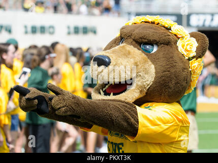 Waco, Texas, USA. 15 Sep, 2018. Baylor Bears mascot avant la NCAA Football match entre le Duc et les Blue Devils Baylor Bears à McLane Stadium à Waco, Texas. Matthew Lynch/CSM/Alamy Live News Banque D'Images