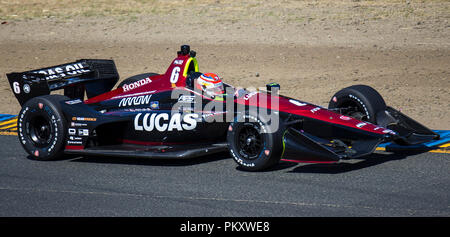 Californie, USA. 15 Sep, 2018. A : Schmidt Peterson Motorsports pilote Robert Wickens (6) du Canada a eu une vitesse de 108,985 au cours du Grand Prix de GoPro Verizon Sonoma Raceway Sonoma Indycar pratique à Sonoma, CA Thurman James/CSM/Alamy Live News Banque D'Images