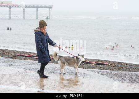 Aberystwyth, Pays de Galles, Royaume-Uni. 16 septembre 2018 UK Weather : personnes marchant le long de la promenade du front de mer à Aberystwyth , Pays de Galles sur un morne et humide dimanche après-midi de septembre. L'ouest de la France se prépare donc pour l'impact de la tempête Hélène, qui est prévu de faire la grève du jour au lendemain, le lundi, avec des vents soufflant jusqu'à 70 mi/h dans les zones exposées, , avec le risque de danger à la vie à partir de la projection de débris Photo © Keith Morris / Alamy Live News Banque D'Images