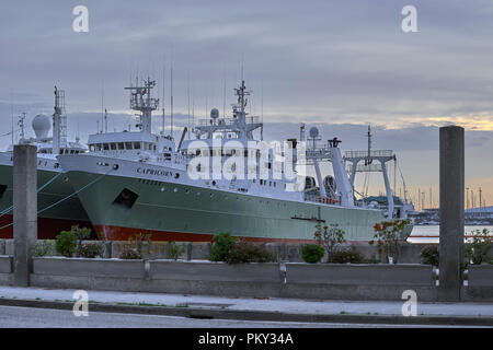 Des navires amarrés dans le port de Vigo, ville sur la côte nord-ouest de l'Espagne, Pontevedra, Galice, Europe Banque D'Images