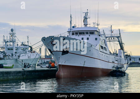 Des navires amarrés dans le port de Vigo, ville sur la côte nord-ouest de l'Espagne, Pontevedra, Galice, Europe Banque D'Images