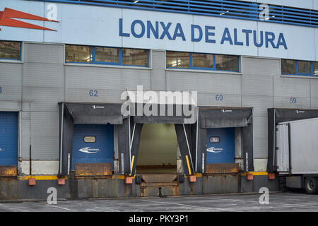 Marché de poisson de Vigo, leader européen dans le poisson frais de port, Pontevedra, Galice, Espagne, Europe Banque D'Images