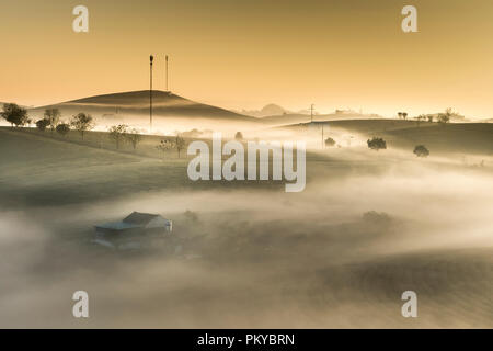 Dawn fantaisiste avec début de la rosée du matin sur les plantations de thé à Moc Chau, Province de Son la ferme, Vietnam Banque D'Images