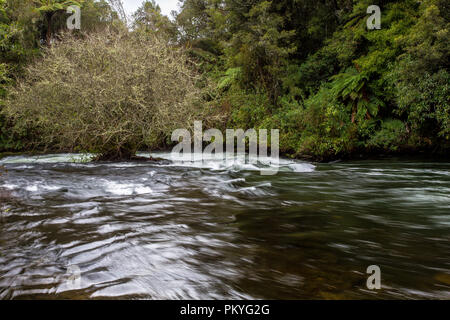 Plus à la vue de la rivière Kaituna Banque D'Images