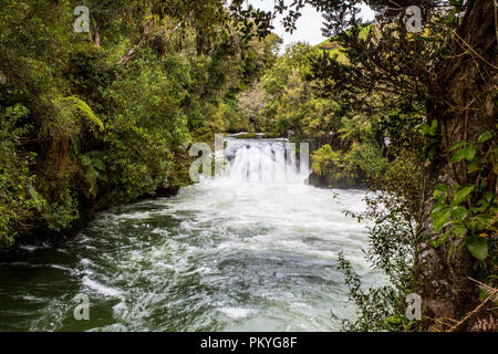 Plus à la vue de la rivière Kaituna Banque D'Images