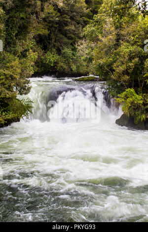 Plus à la vue de la rivière Kaituna Banque D'Images