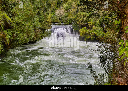 Plus à la vue de la rivière Kaituna Banque D'Images