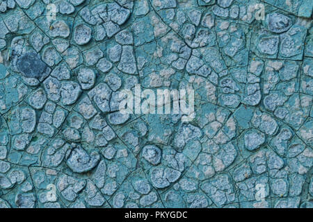 Macro photo. La texture d'une vieille peinture bleu. Plusieurs couches. Le mur de béton de la maison a été lavée par la pluie. Un bon contexte pour différents sites. Banque D'Images