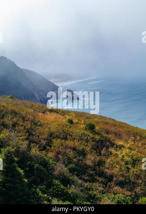 Cape Perpetua Lookout, donnant sur Thors ainsi, de l'Oregon Banque D'Images