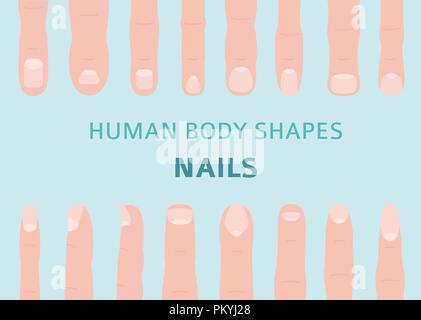 Les formes du corps humain. Types d'ongle main ensemble. Vector illustration Illustration de Vecteur