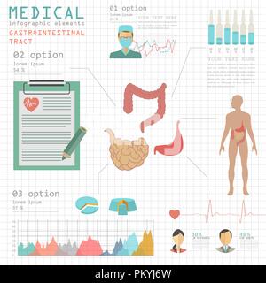 Soins médicaux et de l'infographie, de l'appareil digestif l'infographie. Vector illustration Illustration de Vecteur