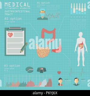 Soins médicaux et de l'infographie, de l'appareil digestif l'infographie. Vector illustration Illustration de Vecteur