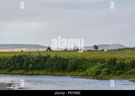 Camp d'éleveurs de rennes dans le parc naturel de l'Oural polaire. Habitations des Nenets sur Yamal. Banque D'Images